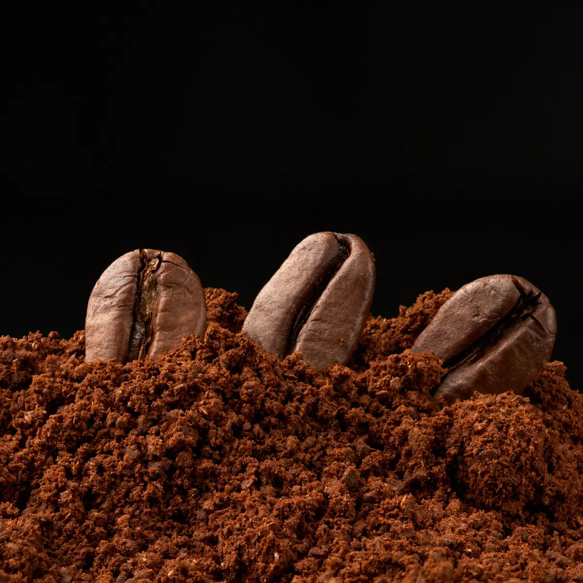 10 Best Dark Roast Coffee Unleash Your Coffee's Dark Side!